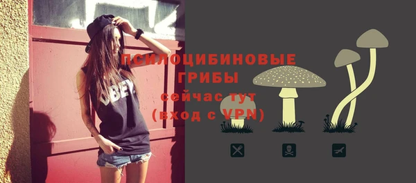 а пвп мука Бородино