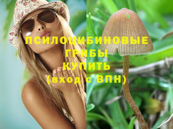 стаф Бронницы
