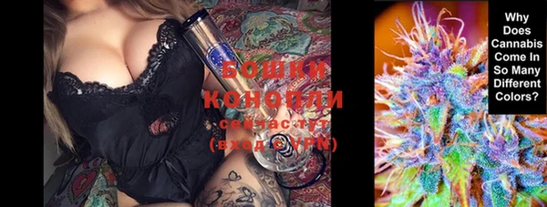 стаф Бронницы