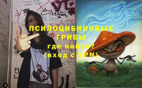 а пвп мука Бородино