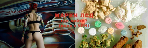 стаф Бронницы