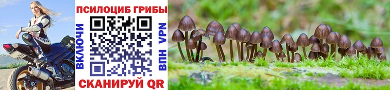 Купить где  Верхнеуральск  Псилоцибиновые грибы мицелий 