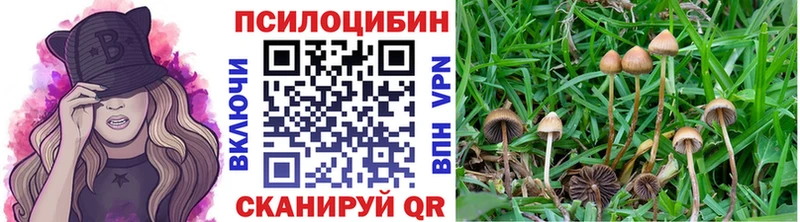 Псилоцибиновые грибы мухоморы Верхнеуральск